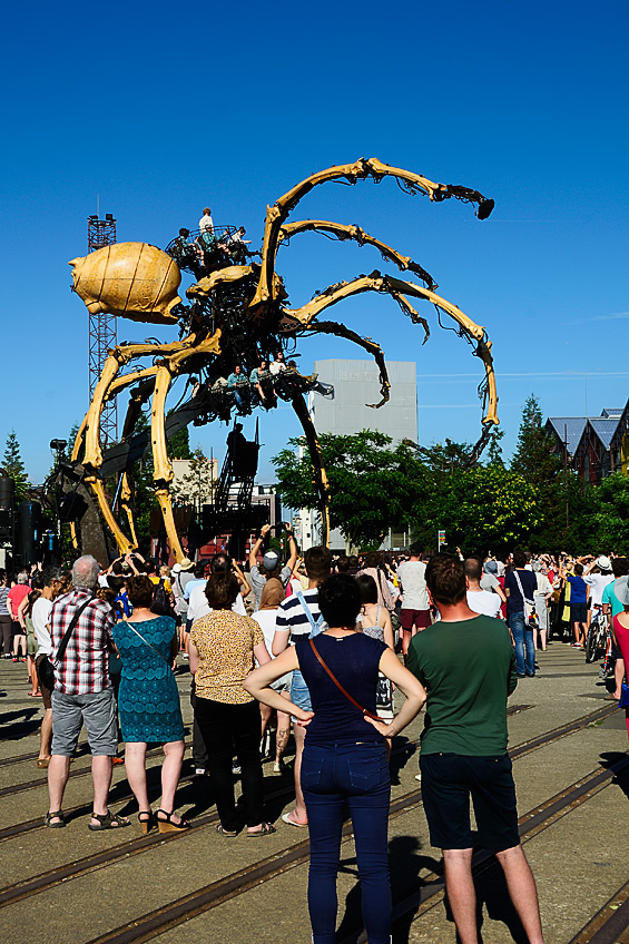 Kumo, la grande araignée, les Machines de l'Île, Nantes.